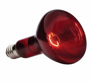 Лампа E27 ИКЗК 215-225-250 Красная