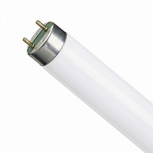 Лампа люминесцентная 30W FT8 Лампа люминесцентная 30W FT8