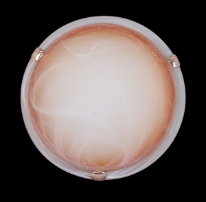 Светильник 505 (300) НПБ 01-2х60-001